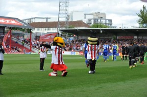 Brentford Griffin Park 